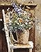CaptainCrafts Paint by Numbers, DIY Oil Painting Paint by Numbers Kits for Adults 16x20 INCH Art Deco Home Gifts (Frameless, Wild Flowers Pots Chair)