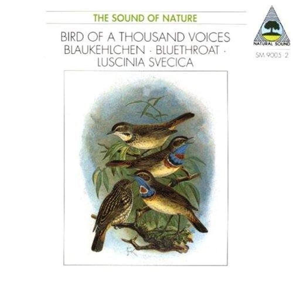 Natural Sound: THE SOUND OF NATURE;BIRD OF A THOUSAND VOICES