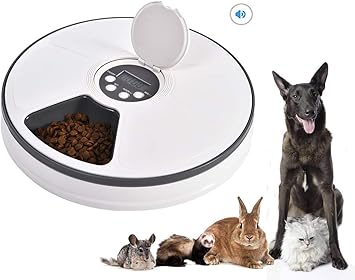 vacation pet feeder