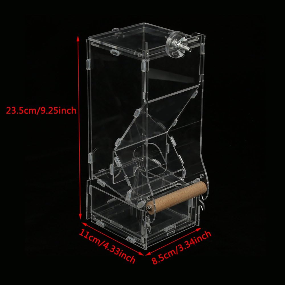 Feeding bowl, birds, parakeet feeder, acrylic, automatic pet seed feeder, transparent food container, cage assembly with perch, M a - Image 3