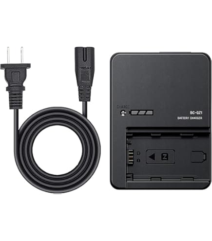 Amazon.com : Sony BC-QZ1 Battery Charger for NP-FZ100 - Black