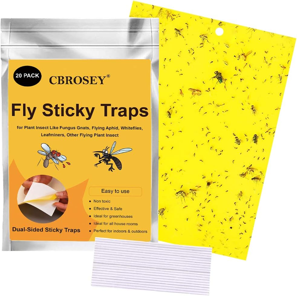 trappole per vespe di carta