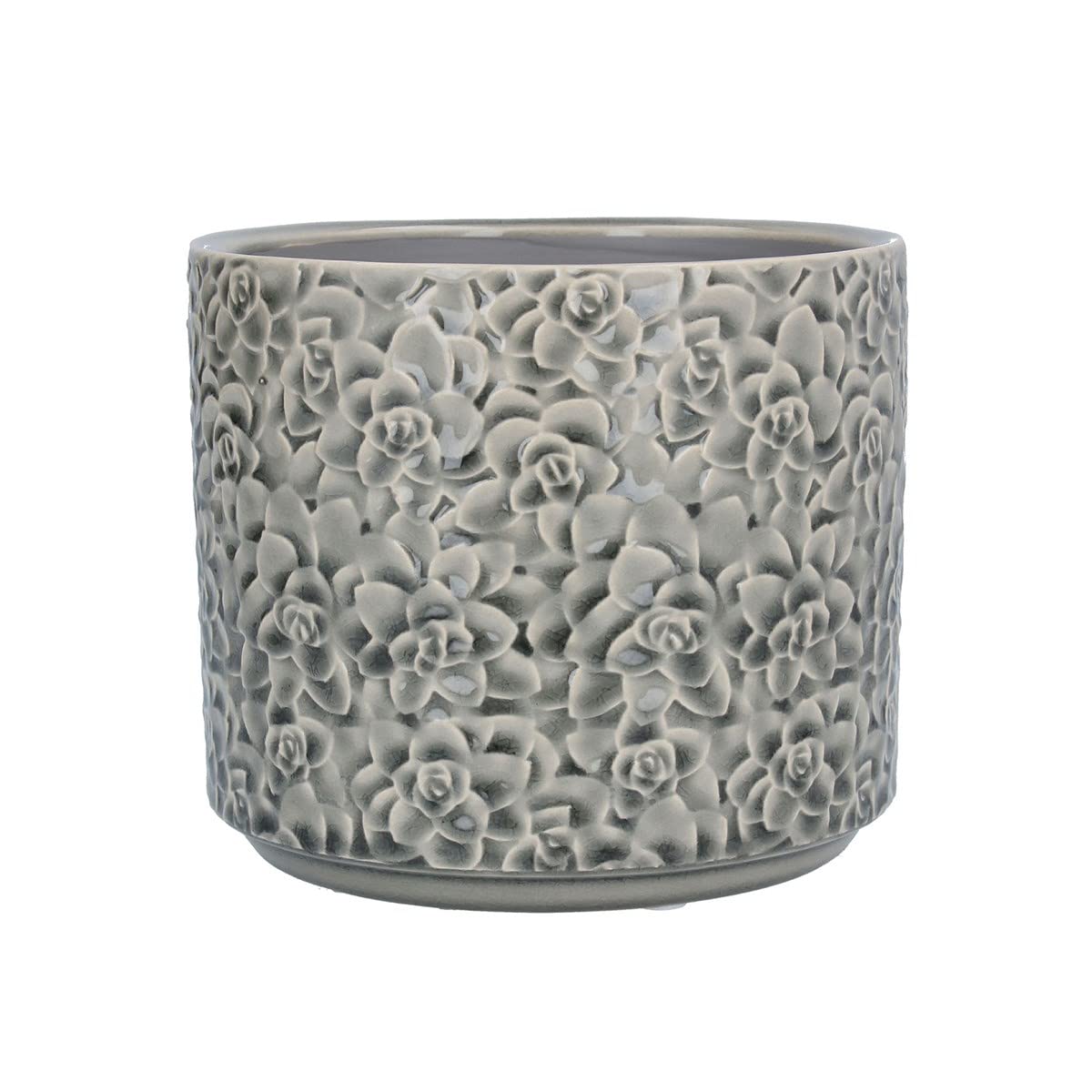 Gisela Graham Medium Grey Succulents Ceramic Pot Cover