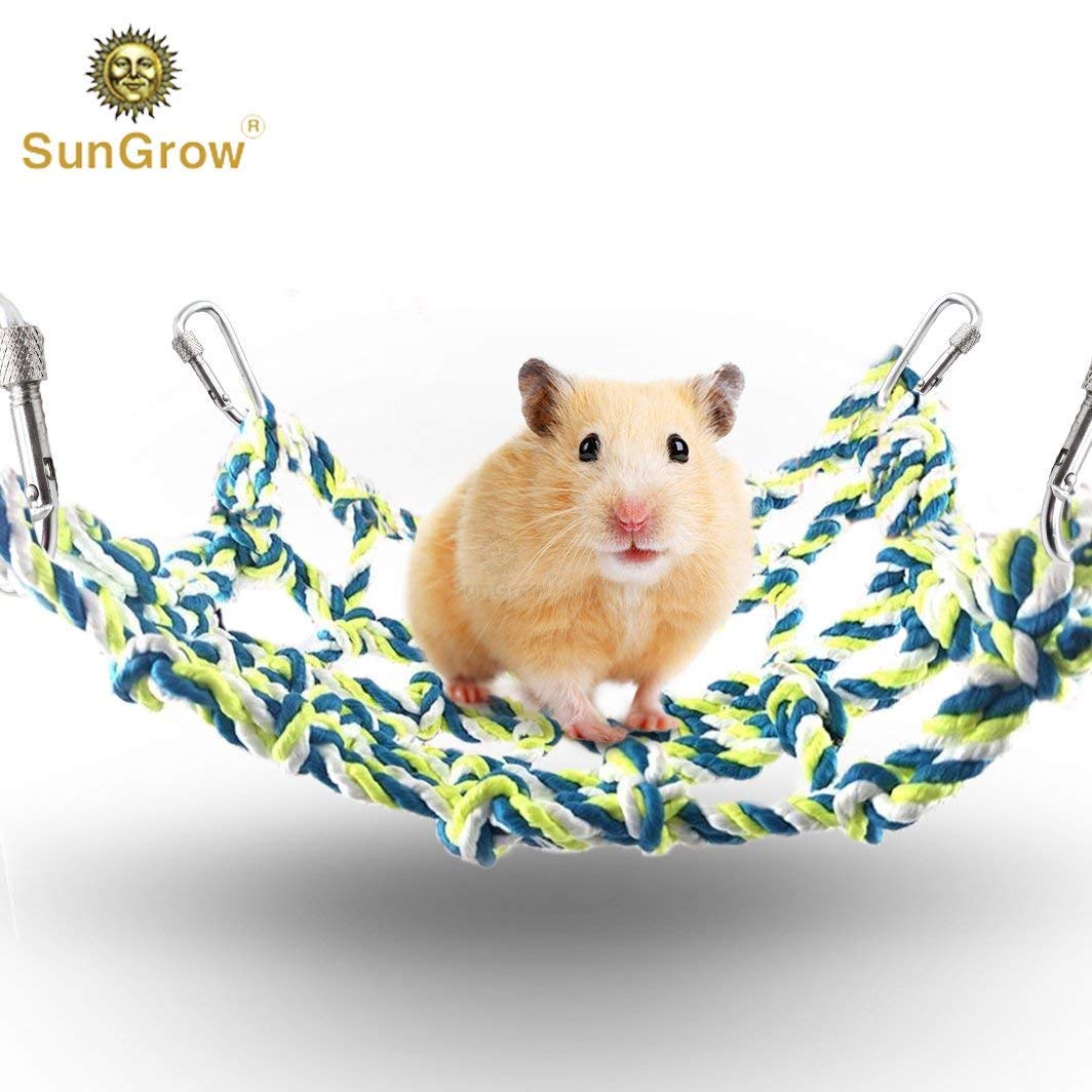 hamster activity cage