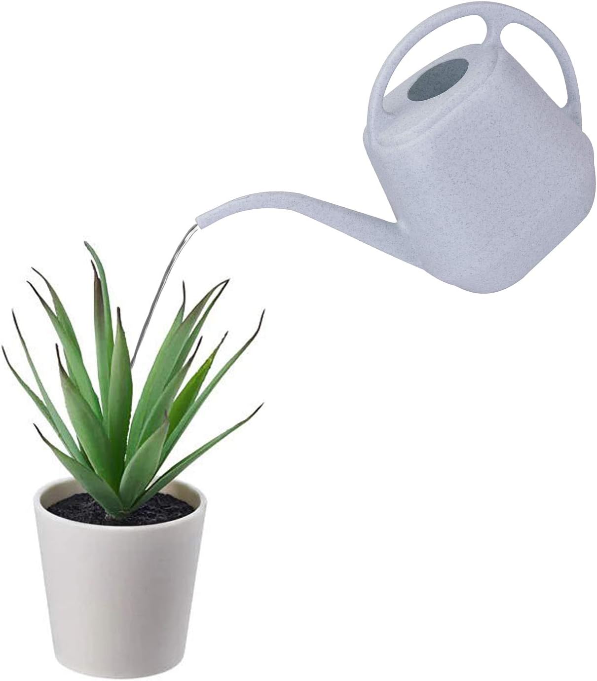 Fasmov Plastic Watering Can, 1-Gallon : Garden & Outdoor