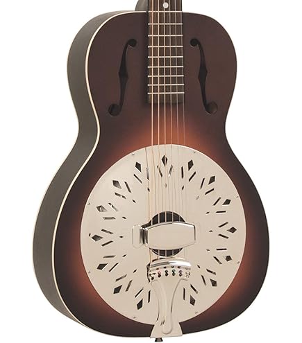 Amazon.com: Recording King 12 String Acoustic-Electric Guitar