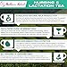 Nursing & Lactation Tea by Mother's Select for Rapid Natural Breast Milk Increase - For Breastfeeding and Lactating Moms