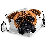 Mouth Mask Anti-Dust Head of Boxer Dog Colored Sketch