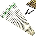 Linkboy Archery Carbon Arrows Hunting Practice Target Arrows with Removable Tip for Compound Recurve Long Bows, Spine 300 340 400 500 600, Pack of 12PCS
