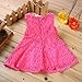 Rorychen Cute Baby Girls Sleeveless Lace Pleated Dress with Flower Party(0-24M)