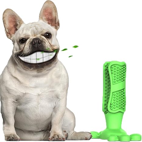 dog toothbrush stick