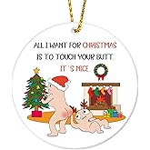 HEYINSHEN All I Want for Christmas is You Ornament Ceramic Christmas Ornaments Adult Funny Christmas Tree Ornaments Unique Christmas Tree Decor Xmas Gifts for Husband Wife Boyfriend Girlfriend