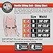 Nordic Lifting Weightlifting Belt (5-Inch) for Crossfit & Powerlifting - Prevent Injury & Improve Posture 1 Year Warranty