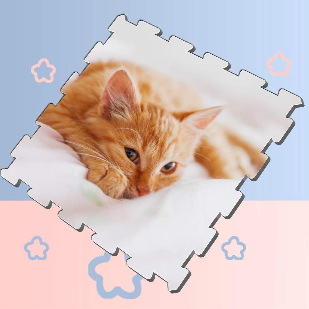 cat puzzle mat