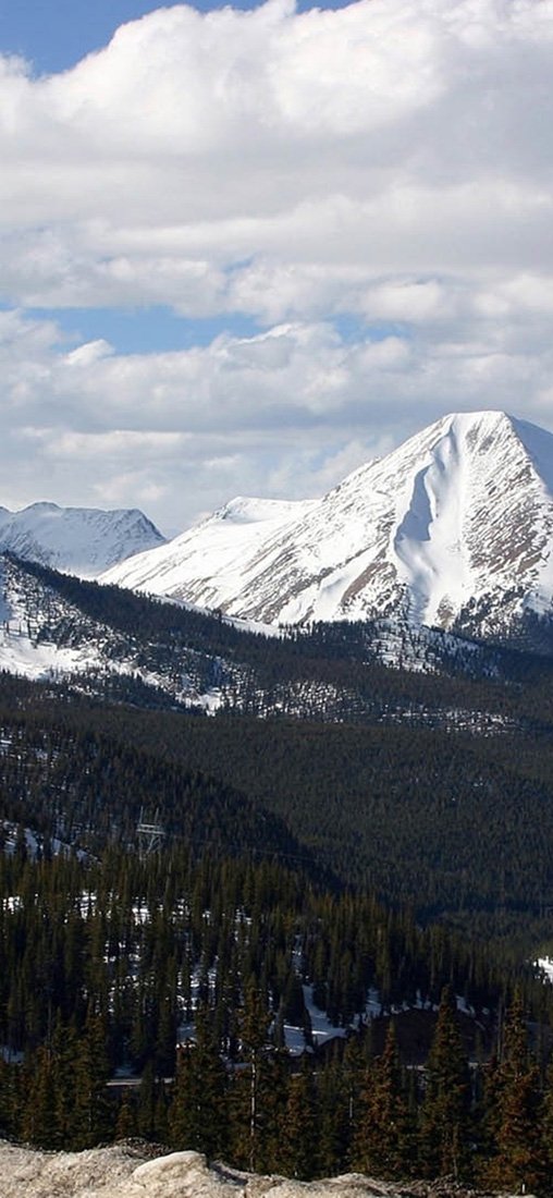 PeelitStickit, Beautiful Nature Wall Murals, ID-3181, vinyl