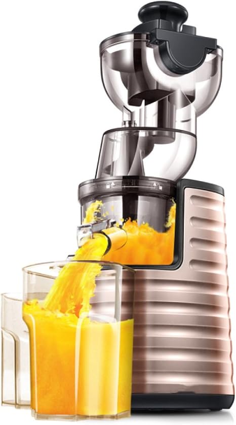 Amazon.com: juicer Large Diameter Juice Machine Household Automatic