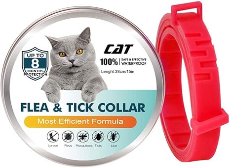 collar antipulgas gato bebe