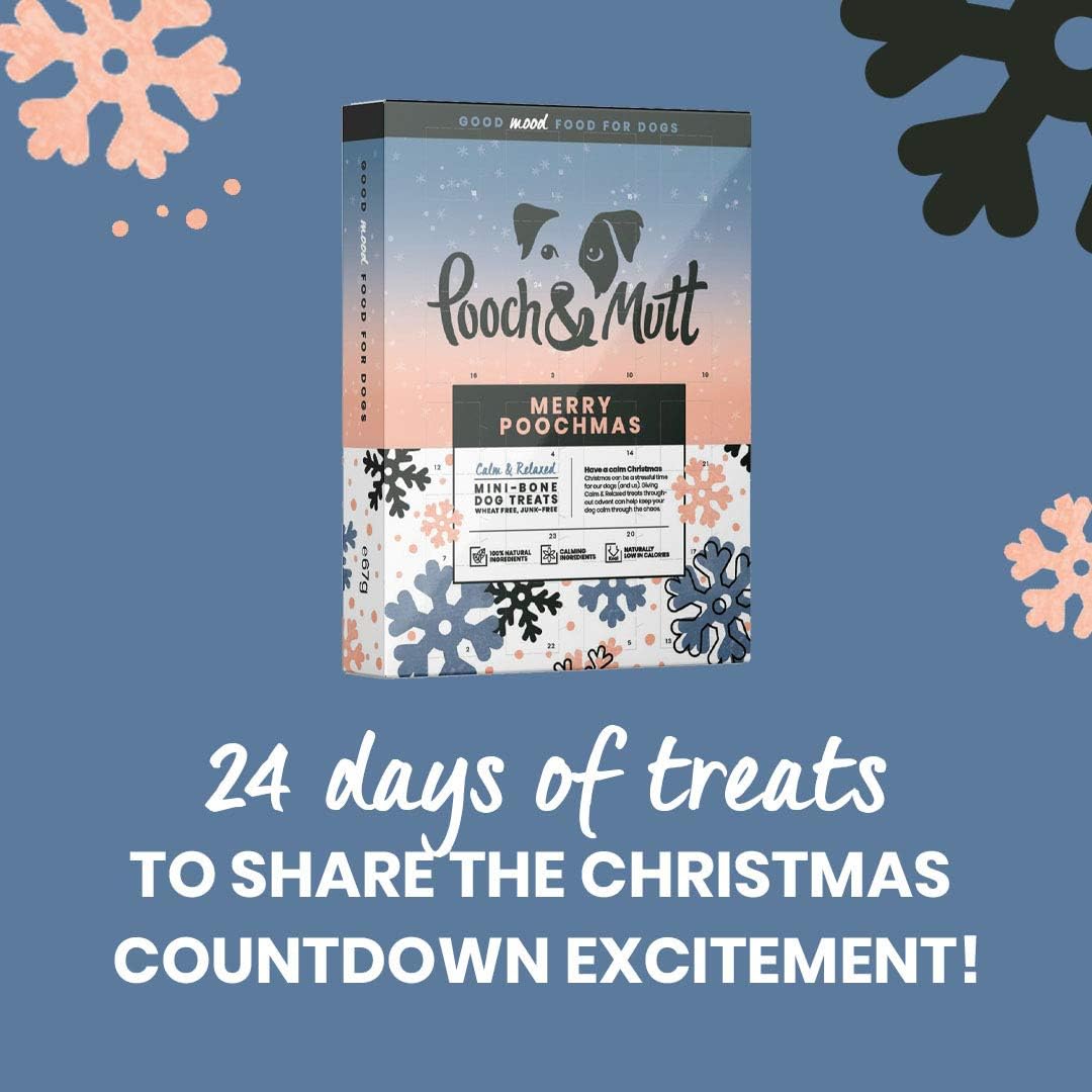 Pooch & Mutt - Christmas Advent Calendar for Dogs with Natural Ingredients and Low Calories Christmas Calendar - Image 4