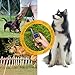 ZIYOR Dog Training Collar Shock Collar, 100% Waterproof and Rechargeable 850 yd Remote Dog Training Collar with Beep, Vibra and No Harm Shock Electric Collar for Small Medium Large Dogs