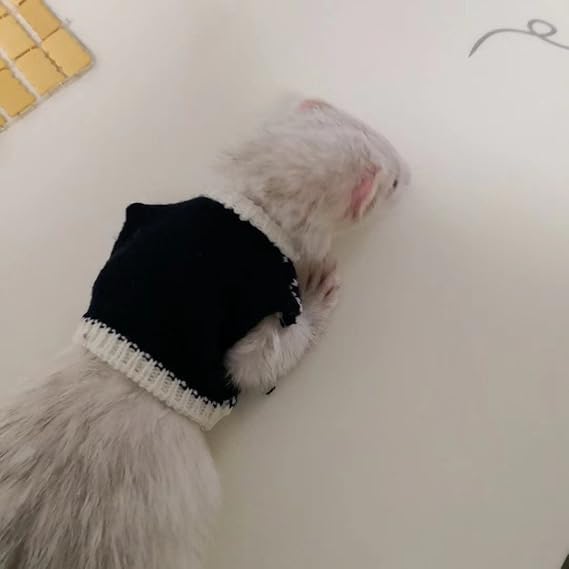 ferret clothes amazon