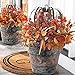 Metal Flower Pot Indoor and Outdoor Planters Galvanized Bucket - 2 Pack Garden Home Fall Decor for Halloween, 9 Inch, Silver