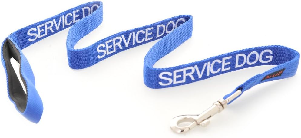 Dexil Limited SERVICE DOG Blue 60cm 120cm 180cm Padded Dog Lead PREVENTS Accidents By Warning Others of Your Dog in Advance (120cm)
