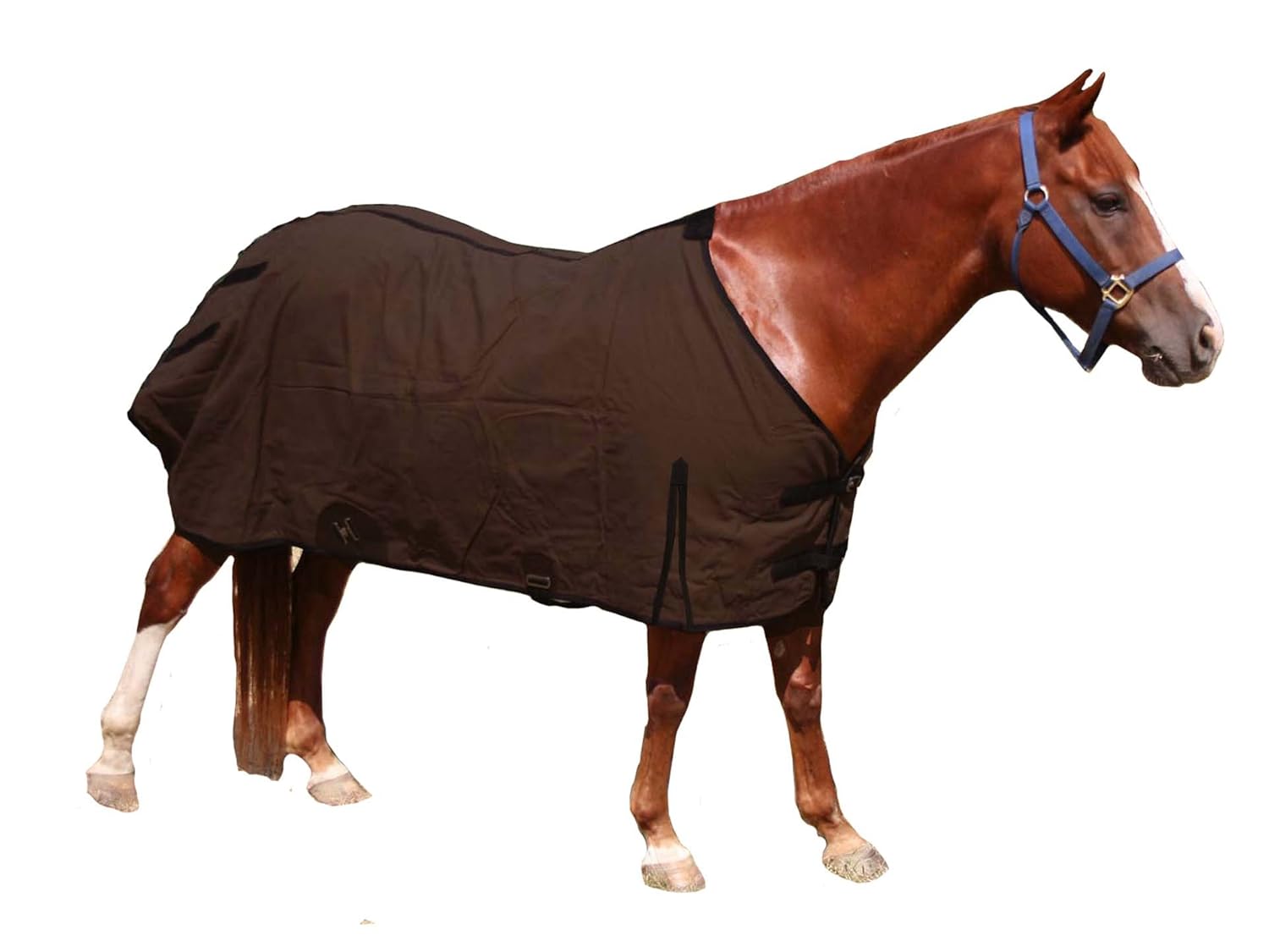 Derby Horse Blankets at Frieda Frederickson blog