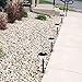 GIGALUMI Solar Lights Outdoor Garden Led Light Landscape/Pathway Lights-6 Pack