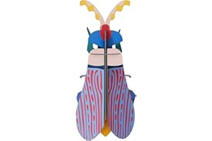 STUDIO ROOF, Wall Art Beetles, Striped Wing Beetle, Eco-Friendly & Creative Gift