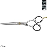 JAGUAR Relax Pre Style Hair Cutting Scissor 6-Inch Q-1104 Offset Ergonomic view 2