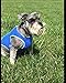 Dog Cooling Vest,Swamp Cooler Jacket for pet,Pet Cooling Coat for Small and Medium Dogs (M,2pack)