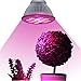 Industrial Grade LED Grow Light - Essential Choice - Full Spectrum Hydroponic Light Bulb - High Luminosity & Low Power Consumption - Plant Grow Lights Greenhouse Garden Indoor Growing Flowers