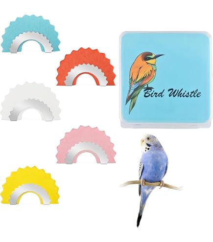 Tsudoku Sifflet D’oiseau Magique En Métal – Sifflet De Langue Pour Voix Aiguë, Amusement Garanti