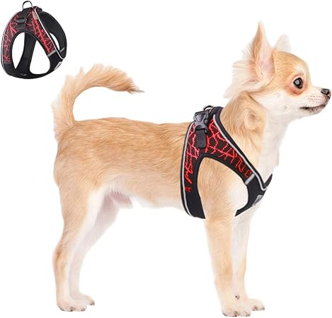 no choke harness for small dogs