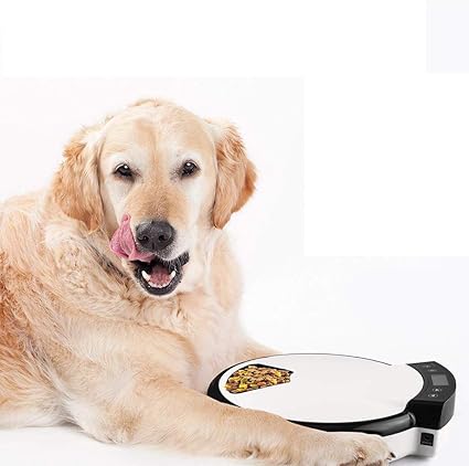 Pet Supplies Sauweray Dog Cat Pet Automatic Feeder Dry Grain