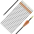 Archery Youth 24 26 Inch Fiberglass Archery Targeting Arrows for Youth Practise Recurvebow Compound Bow Shooting