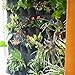 Ogrmar 36 Pockets Vertical Wall Garden Planter Plant Grow Bag for Flower Vegetable for Indoor/Outdoor (36 Pockets, Black)thumb 4