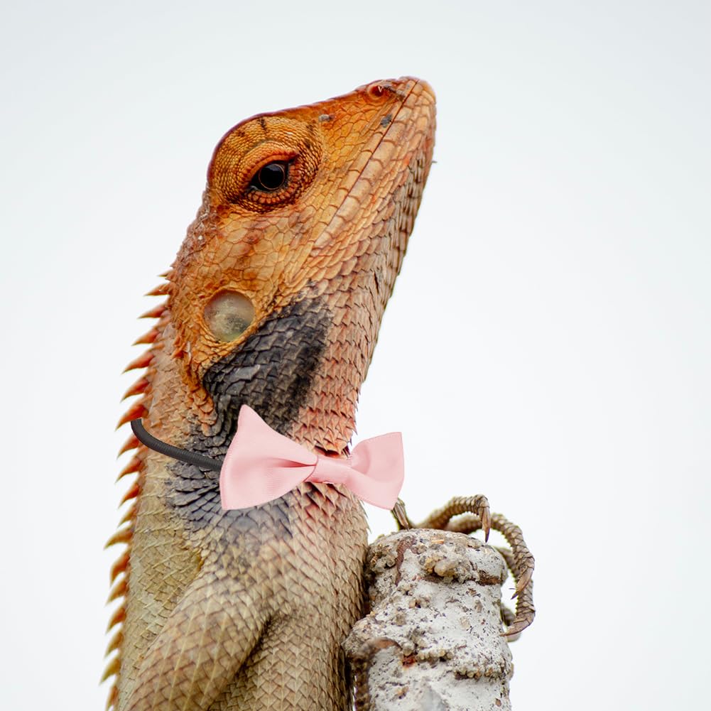 View 4
