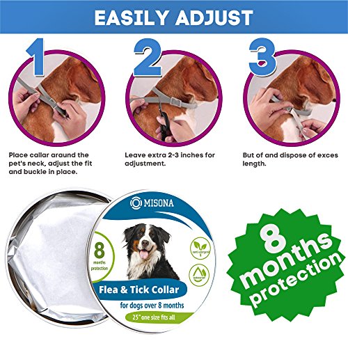 Dog Flea and Tick Collar 100% Safe Non-Toxic Flea Tick Prevention for Dogs Easily Adjustable Waterproof for Large Small Dogs Flea Tick Collar Natural Flea Tick Control Collar Dogs Flea Treatment