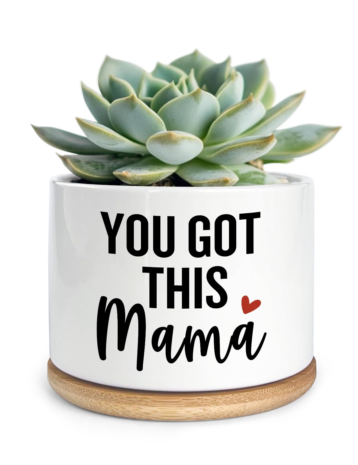 Photo 1 of Cgvovgr Funny You Got This Mama Ceramic Succulent Planter Cactus Pots, Office Windowsill Decor Indoor, Succulent Pots for Women Plant Lovers, 3.5 inch (Plant Not Included)