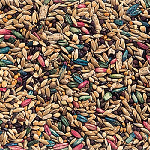 L'Avian Plus Canary Food - 25 Lbs.