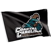 Desert Cactus Coastal Carolina University CCU Flag - 3 x 5 Feet Chanticleers Banner, Indoor/Outdoor Durable Fabric, 100% Polyester Design (Style 3)