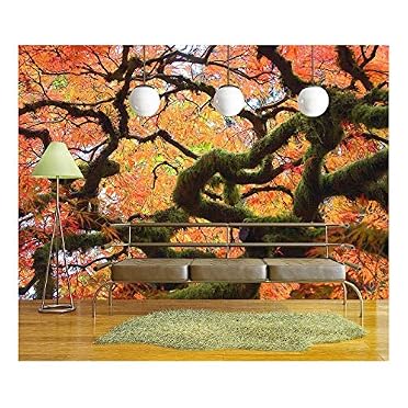 Gnarly Japanese Maple Tree - Remov - Wall Murals