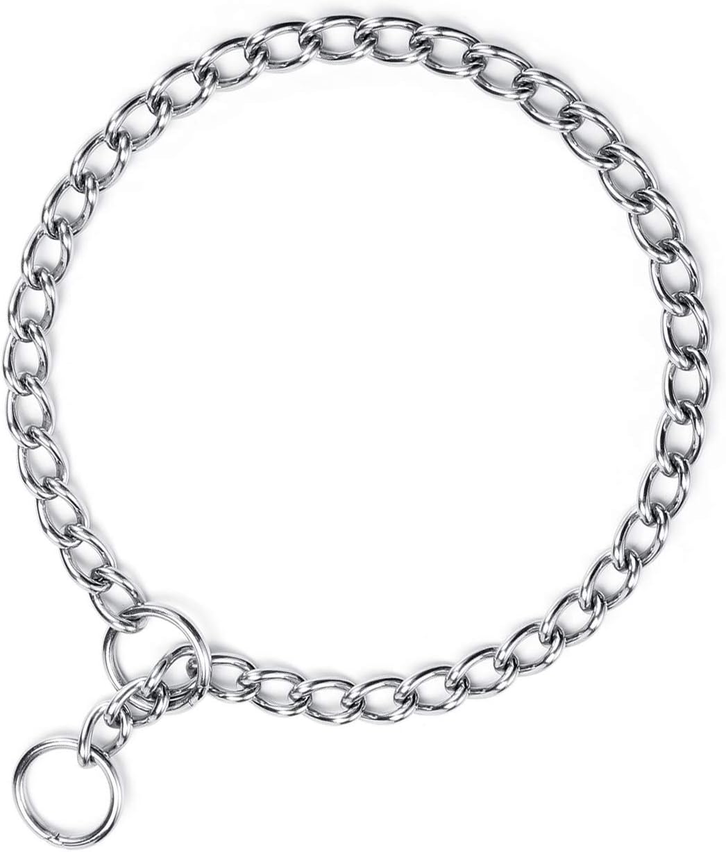 Filhome Dog Choke Collar, Stainless Steel Dog Choke Chain Collar, Puppy