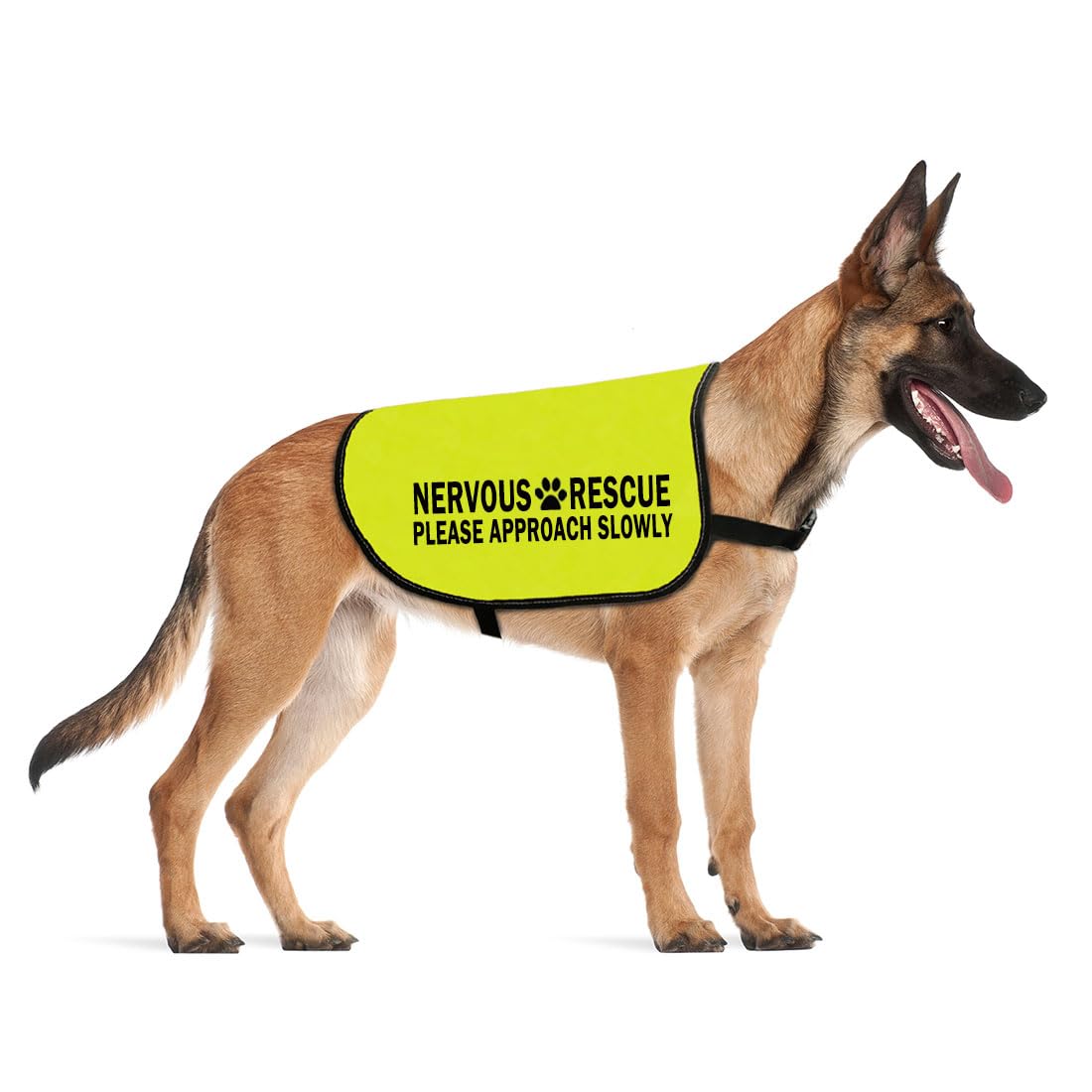 Nervous Rescue Please Approach Slowly Dog Jacket Nervous Rescue Space Dog Walking Slogan Warning Vest (APPROACH SLOWLY -Large)