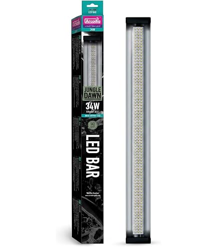 Amazon.com : Arcadia Pro T5 UVB Kit Dragon 14% UV-B, 34” (39W