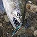 YONGZHI Fishing Lures Metal Casting Trolling Jigging Spoons Spinners Baits Lures for Trout Salmon Walleye Northern Pike and Largemouth Bass in Freshwater and Saltwater Fishing Spoons (5.89inch)