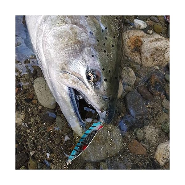 YONGZHI-589inch-Metal-Fishing-Spoons-LuresSaltwater-Hard-Spinners-Casting-Sinking-Lures-for-Northern-Pike-Salmon-Walleye-and-Largemouth-BassPack-of-4