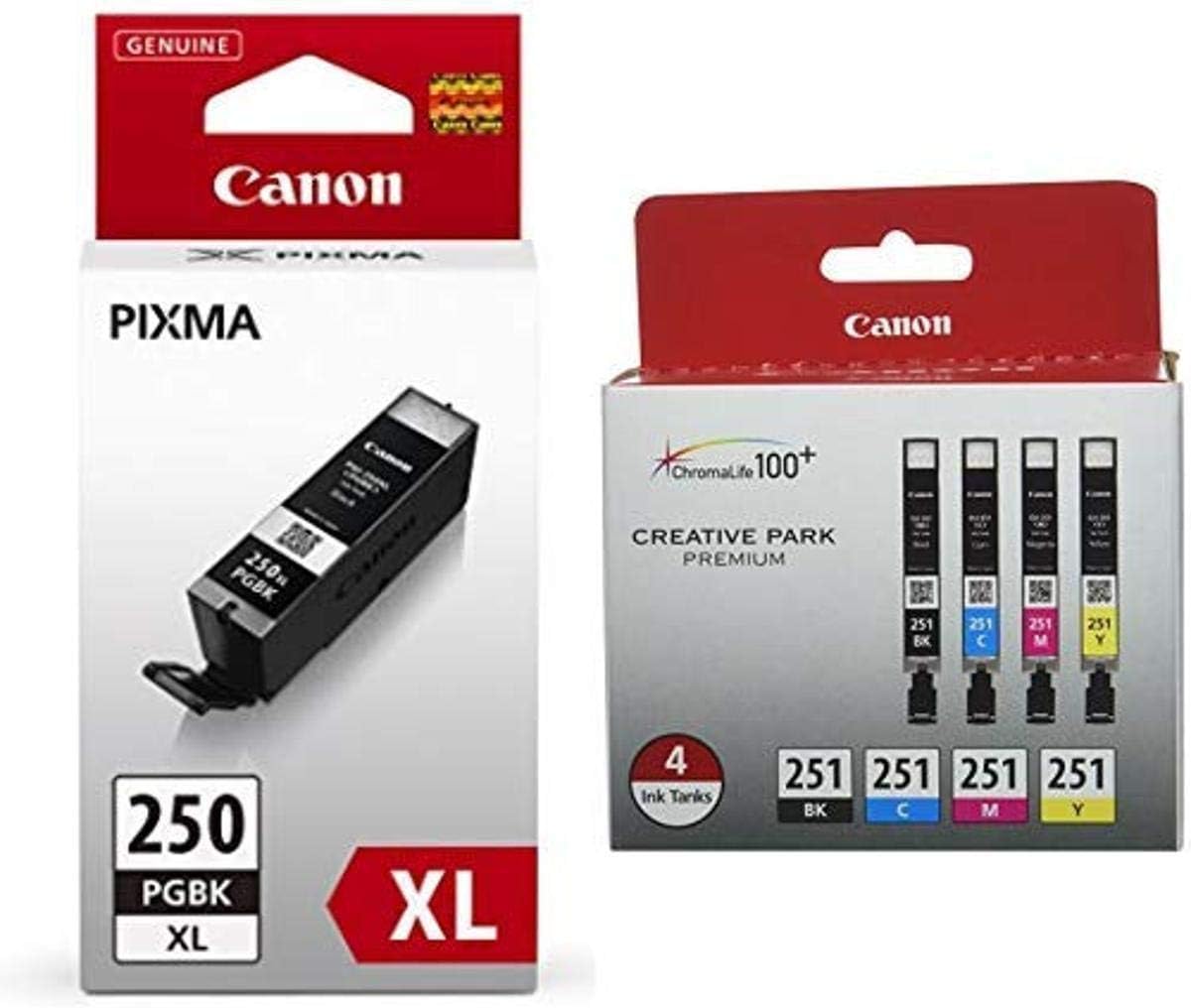 251 bk canon ink