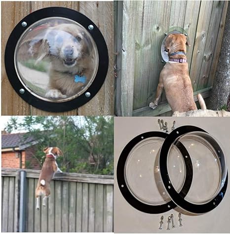 Amazon Com Peekaboo Two Dog Fence Windows Peekaboo Pet Supplies